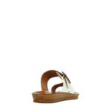 Los Cabos Dotsie White