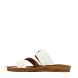 Los Cabos Dotsie White